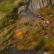 Ashes Of The Singularity - Excursion Ashes of the singularity strategy